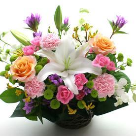 ankodaisuki20's profile picture. 、フィギュアスケート情報収集用です。リツイートしかしません。勝手にフォローをしてすいません。