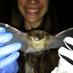 Rachel Shively (@plan4wildlife) Twitter profile photo