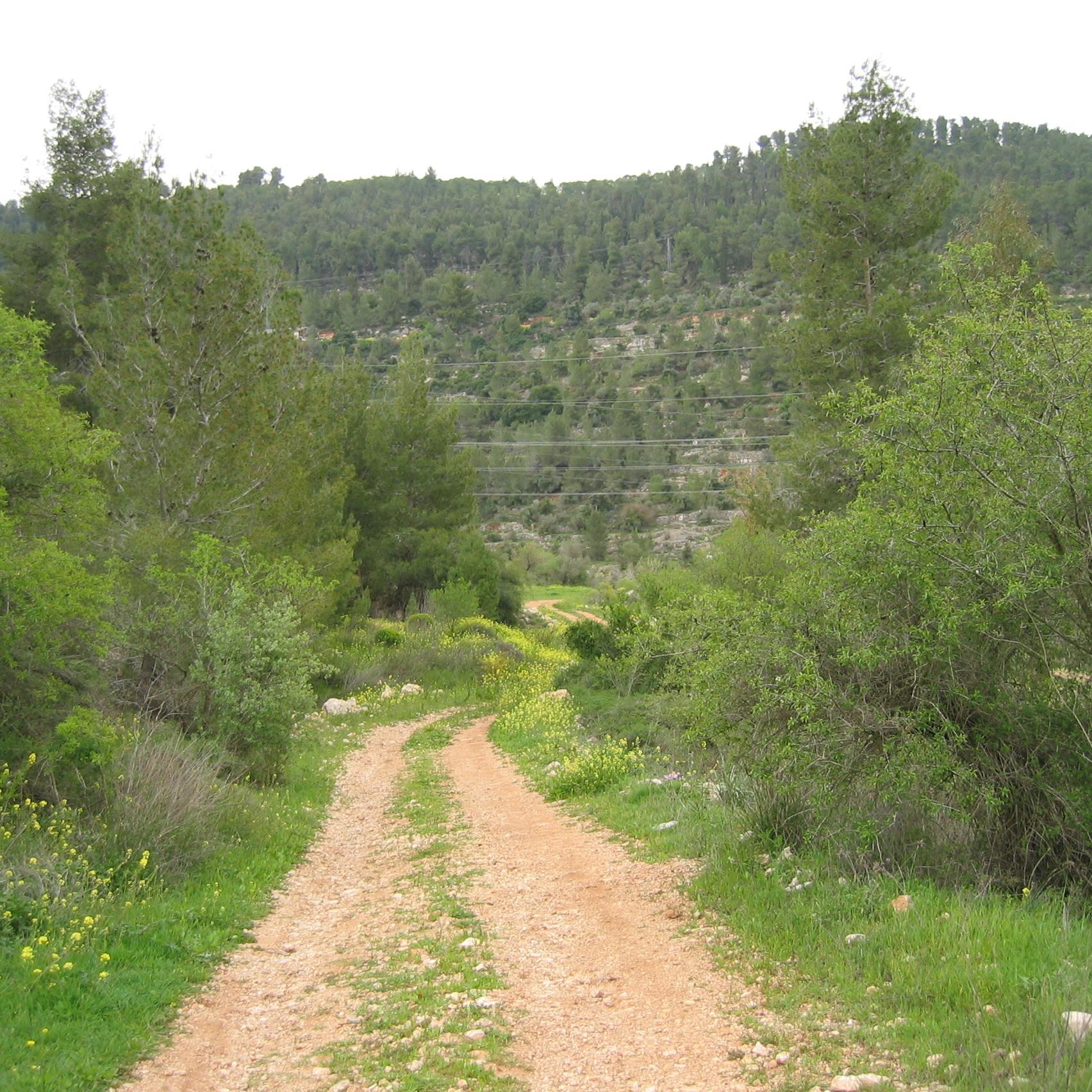 eugene_shpilsky's profile picture. 