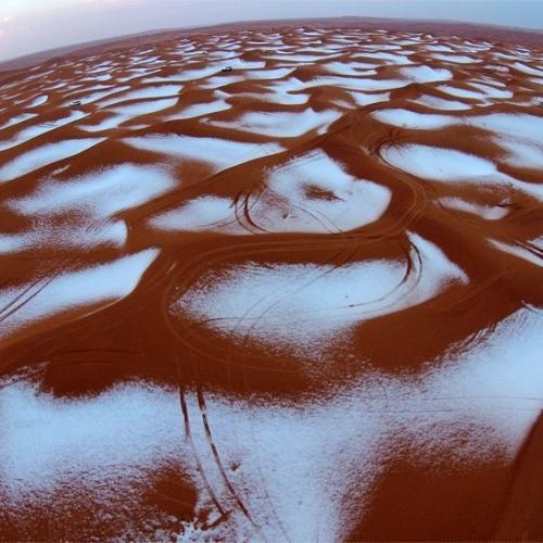 ahmadzxc55's profile picture. 