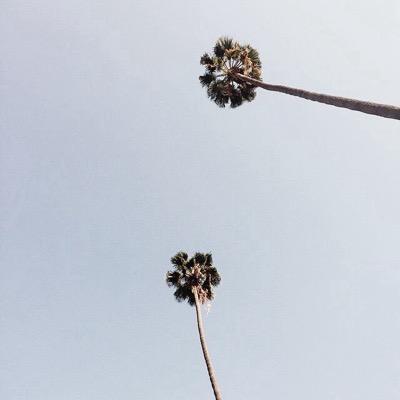Live// Work// Create//