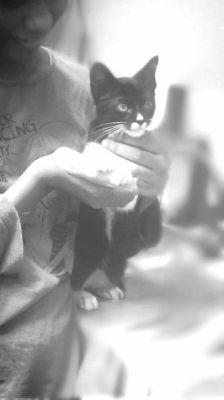 HazelChamo's profile picture. mwah