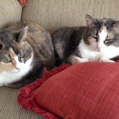 lohrkeben89's profile picture. 