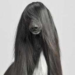 Alicebis Profile Picture