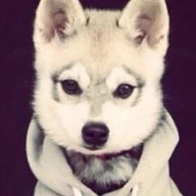 RothZerkzyz Profile Picture