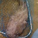 jason lykins - @crazyeight2000 - Twitter