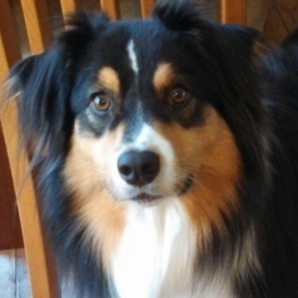 3omnibuses's profile picture. 