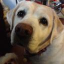 Melody Chase - @chaseart44 - Twitter