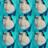 NailiOliver's profile image