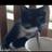 LeonardMoore_13's profile image
