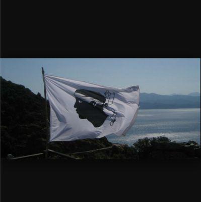 Pronoworld2B's profile picture. 