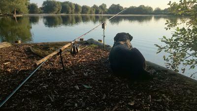 BiancaWetzl's profile picture. 