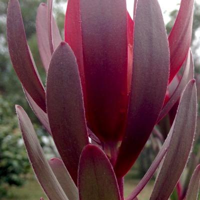 jeremyholloway's profile picture. 