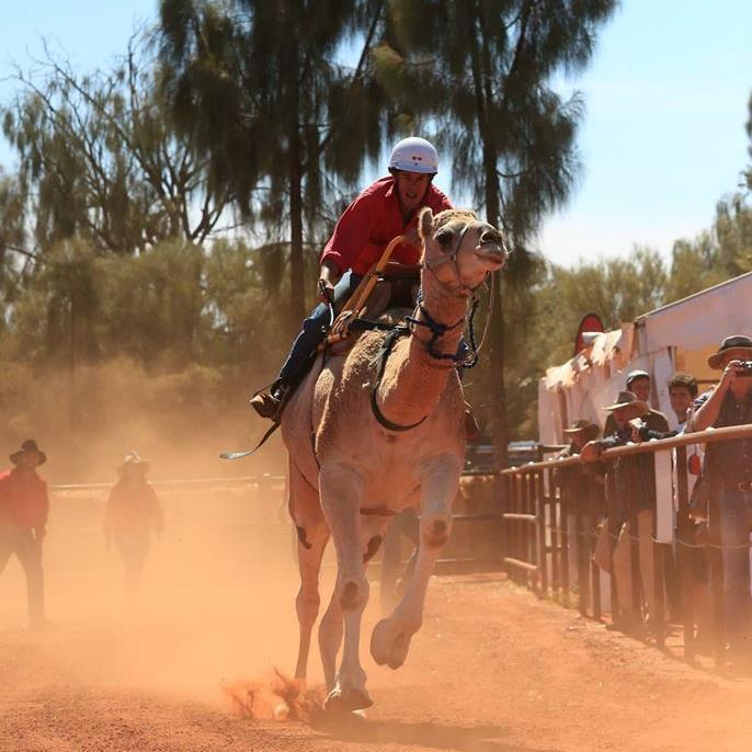 Mulit-award winning Uluru Camel Cup now in its 5th year is a must do on every travellers list. Two days of outback fun Friday 27th and Saturday 28th May 2016.