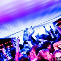 Disco-Designer.com (@discodesigner) Twitter profile photo