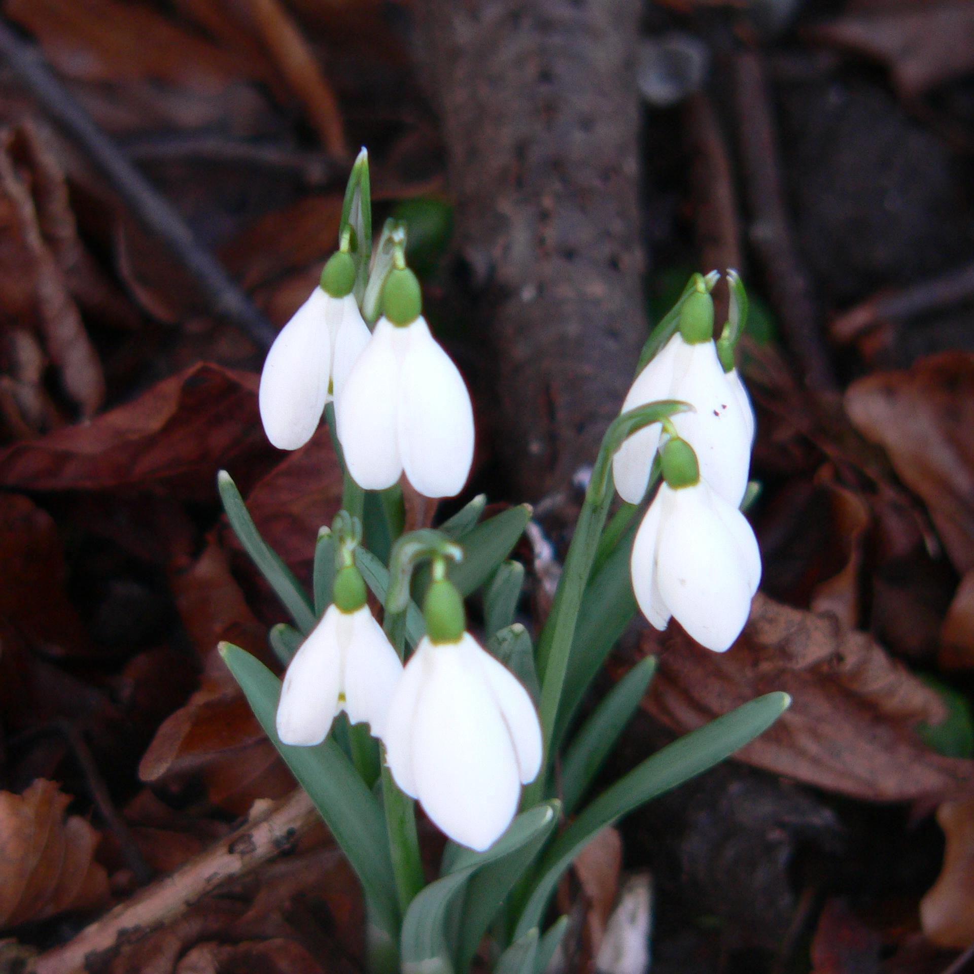 DBurbidge55's profile picture. 