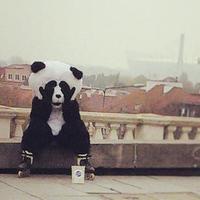Ruslan B. (@ruslan_by) 's Twitter Profile