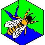 Southampton & District Beekeepers Association are a group of hobby beekeepers in the area. If you discover a swarm of honey bees, we will happily collect.