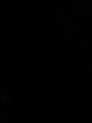 gobranic35's profile picture. 