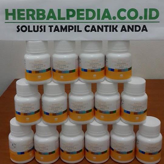 HerbalMega's profile picture. 