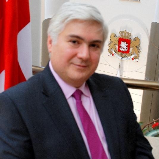 Ambassador of Georgia to the Republic of Slovenia