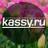 kassy_ru's profile image