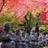 hermanasAlvarez's profile image