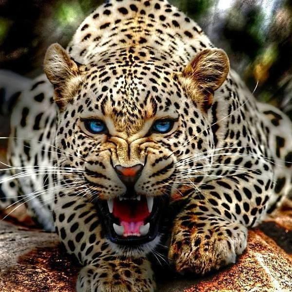 65_07801182319's profile picture. 