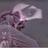 lazaward60's profile image