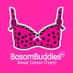 Pauline Giles (@bosombuddies_uk) Twitter profile photo Pauline Giles (@bosombuddies_uk) Twitter profile photo