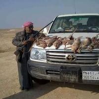 خالد مقداد السرحان (@kald12alsr7han) 's Twitter Profile