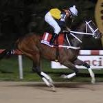 Amante de los deportes, pronosticador deportivo, Caballos, Loterias y Parley..Suscripción +58-4262794930