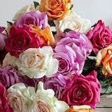 Gretchenkenned's profile picture. 