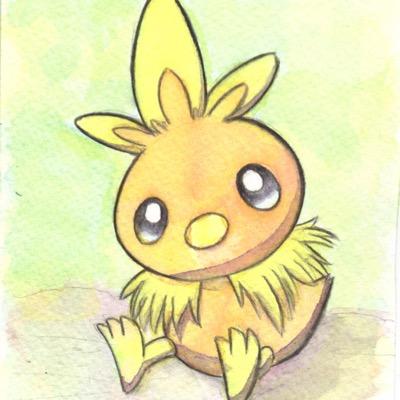“Torchic!” A little fire pokémon that used to run around the Hoenn, and is now found out in the open areas. [Lv. 5|Trainerless.]