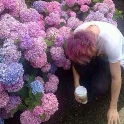 icyliam's profile picture. i hate kevin