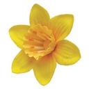 Karen Ruby - @RubyGrayPhoto - Twitter