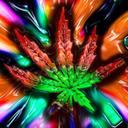 David Leblanc Houde - @david_houde - Twitter