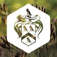 Steyn City (@steyn_city) 's Twitter Profile
