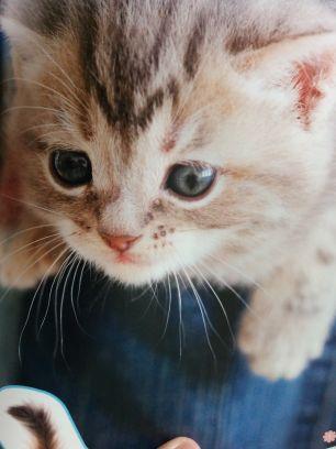 e4d6c33a38d942d's profile picture. PATM　体臭　口臭　術後臭　スソ腋臭 下痢 ガス　鬱病　