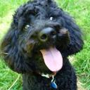 Susan Flavin - @FlavinSusan - Twitter