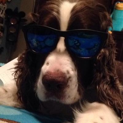 SchlegelLyle's profile picture. 