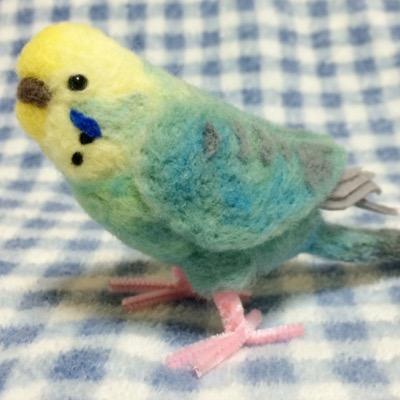 なべふさ בטוויטר 今年初の羊毛フェルトのインコです 作り方を変えたので時間がかかりました そして顔だけしか作れなかったのでドアップ撮影 いつもよりモフモフしてみました Http T Co Lkwc4rgtvs