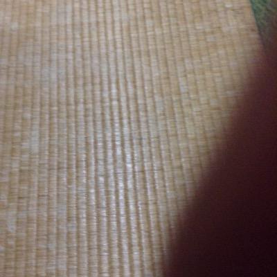 よろしくお願いします