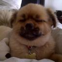 Jeff Beckman - @JeffGBeckman - Twitter