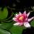 evatjes's profile image