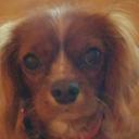 Kylie Hand - @d65d9cefe5c146a - Twitter