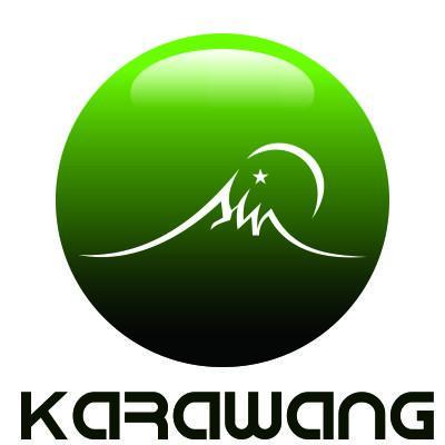 SinKarawang's profile picture. 