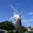 norfolk101's profile image