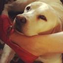 Michelle Ancell - @m3c3a3 - Twitter