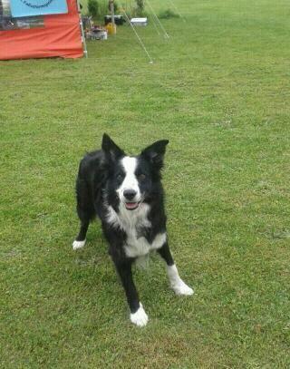 denisef932's profile picture. 